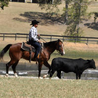 4-H Clover Kids Visit